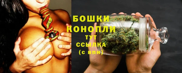 крисы Елизово